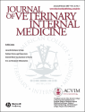 veterinary internal medicine